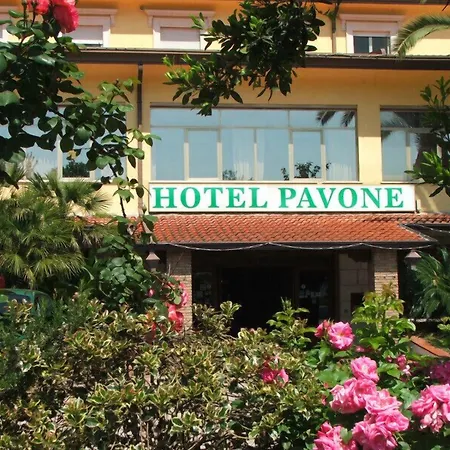 Grand Pavone Cassino